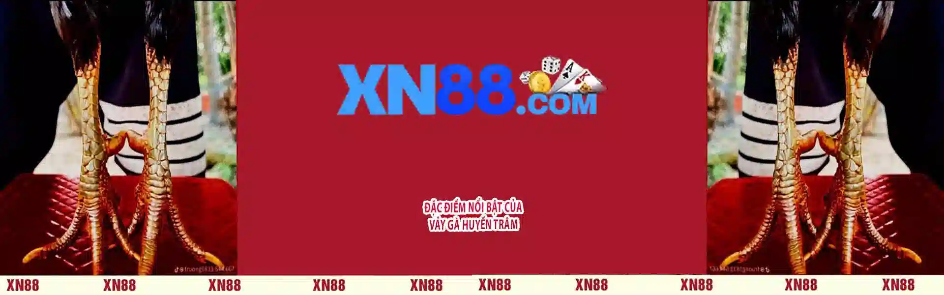 XN88 Banner